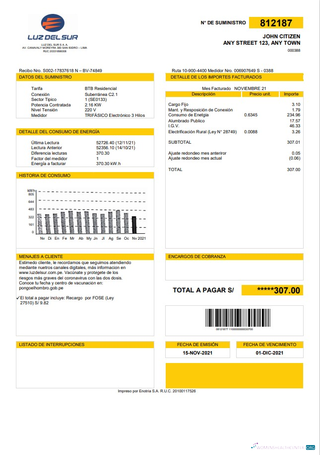 download Peru Luz de Sur utility bill template in Word and PDF format, fully editable PDF template